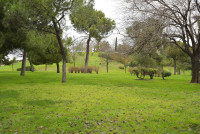 Parque Enrique Tierno Galván